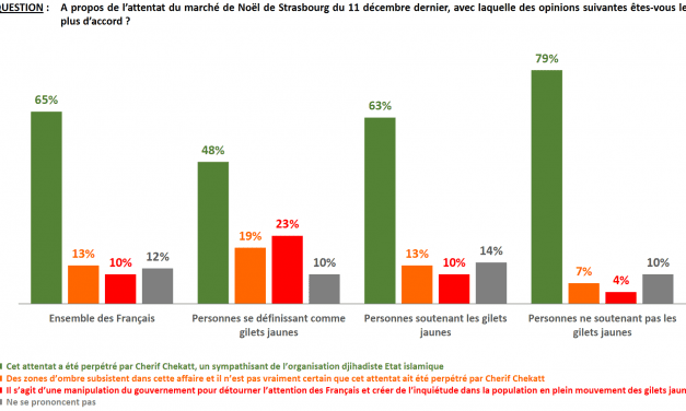 Enquête complotisme 2019 : focus sur le mouvement des « gilets jaunes »