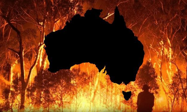 Incendies en Australie : une offensive climatosceptique amplifiée par la complosphère