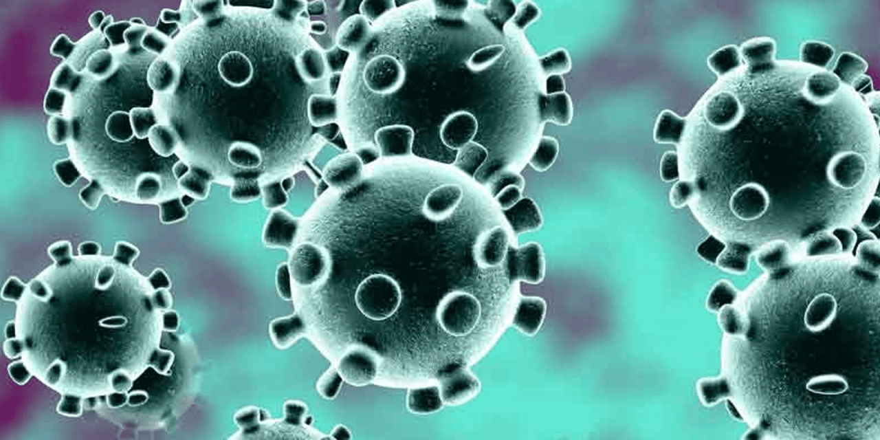 Pourquoi le coronavirus n’est probablement pas une « arme biologique »