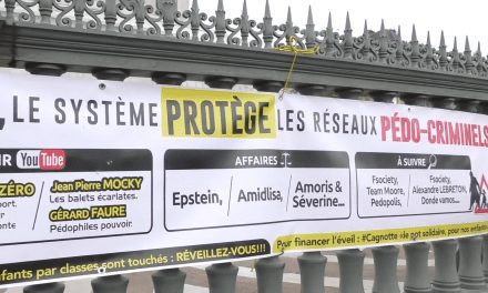 Comment les complotistes capitalisent sur le thème de la protection de l’enfance